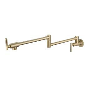 Pot faucet wall-mounted faucet(gold)