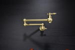 Wall-mounted flowerpot faucet (gold)