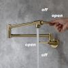 Pot faucet wall-mounted faucet(gold)