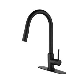 Kitchen Faucet with Pull Down Sprayer (Color: Matt Black)
