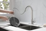 Kitchen Faucet with Pull Down Sprayer