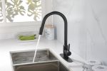 Kitchen Faucet with Pull Down Sprayer