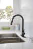 Kitchen Faucet with Pull Down Sprayer