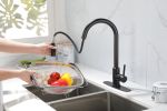 Kitchen Faucet with Pull Down Sprayer