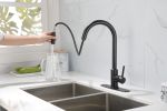 Kitchen Faucet with Pull Down Sprayer