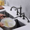 Bridge Dual Handles Kitchen Faucet With Pull-Out Side Spray in