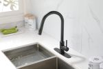 Kitchen Faucet with Pull Down Sprayer