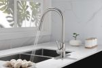 Kitchen Faucet with Pull Down Sprayer