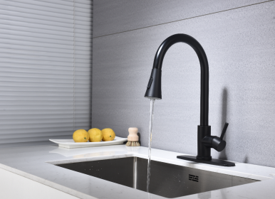 Stainless steel kitchen faucet (Default: Default)