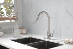 Kitchen Faucet with Pull Down Sprayer